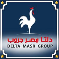 Delta masr group
